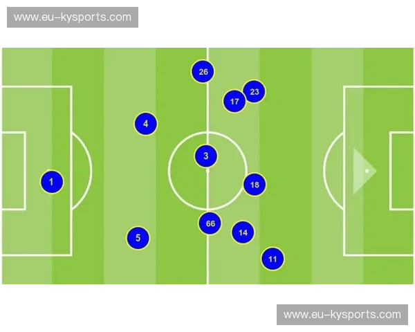 阵型解析引领球队崛起——精准引援的智慧之道